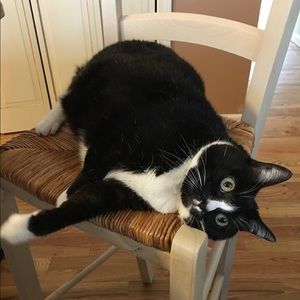 Meet your Posher, Joe